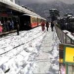 Shimla packers and movers
