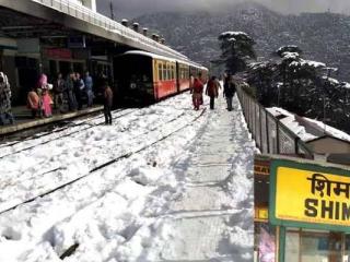 Shimla packers and movers