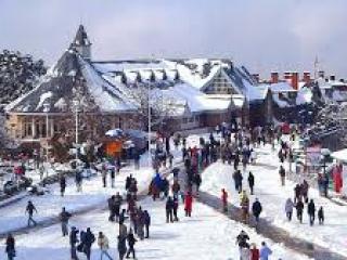 Shimla packers and movers