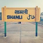 Shamli movers and packers